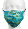 Van Gogh Reversible Face Mask