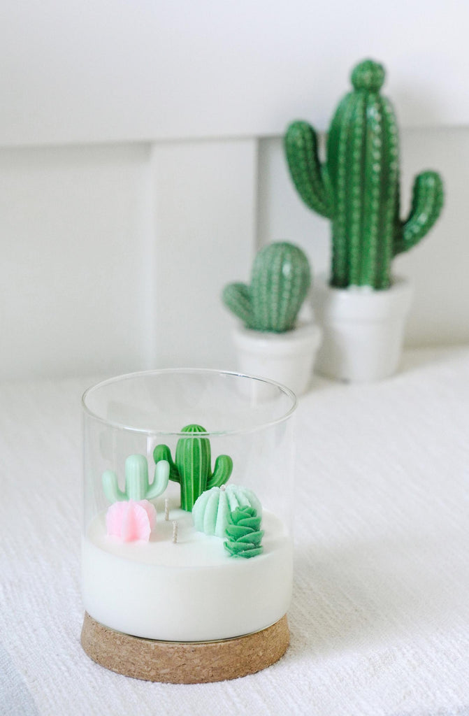 succulent terrarium candle Large Three-Wick Cacti and Succulent Terrarium Candle