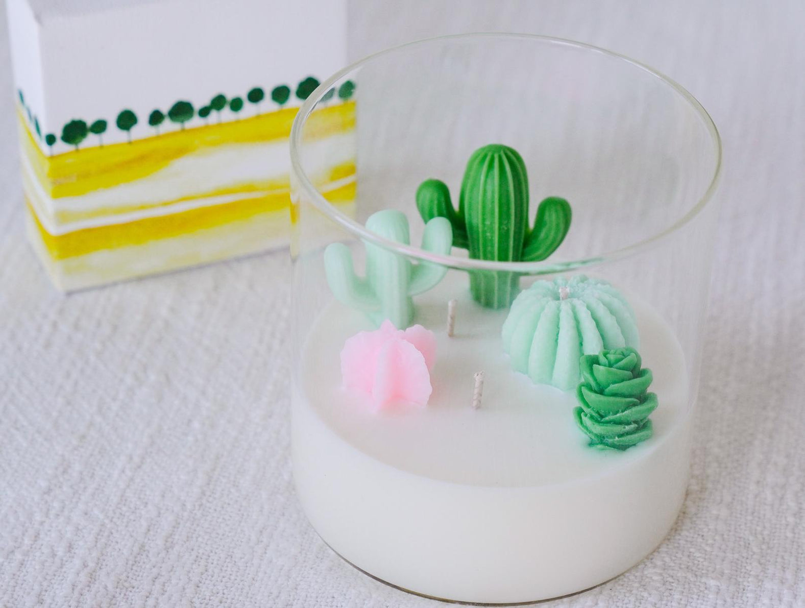 Complete Your Home Decor With This Charming Cactus Candle– My Modern ...