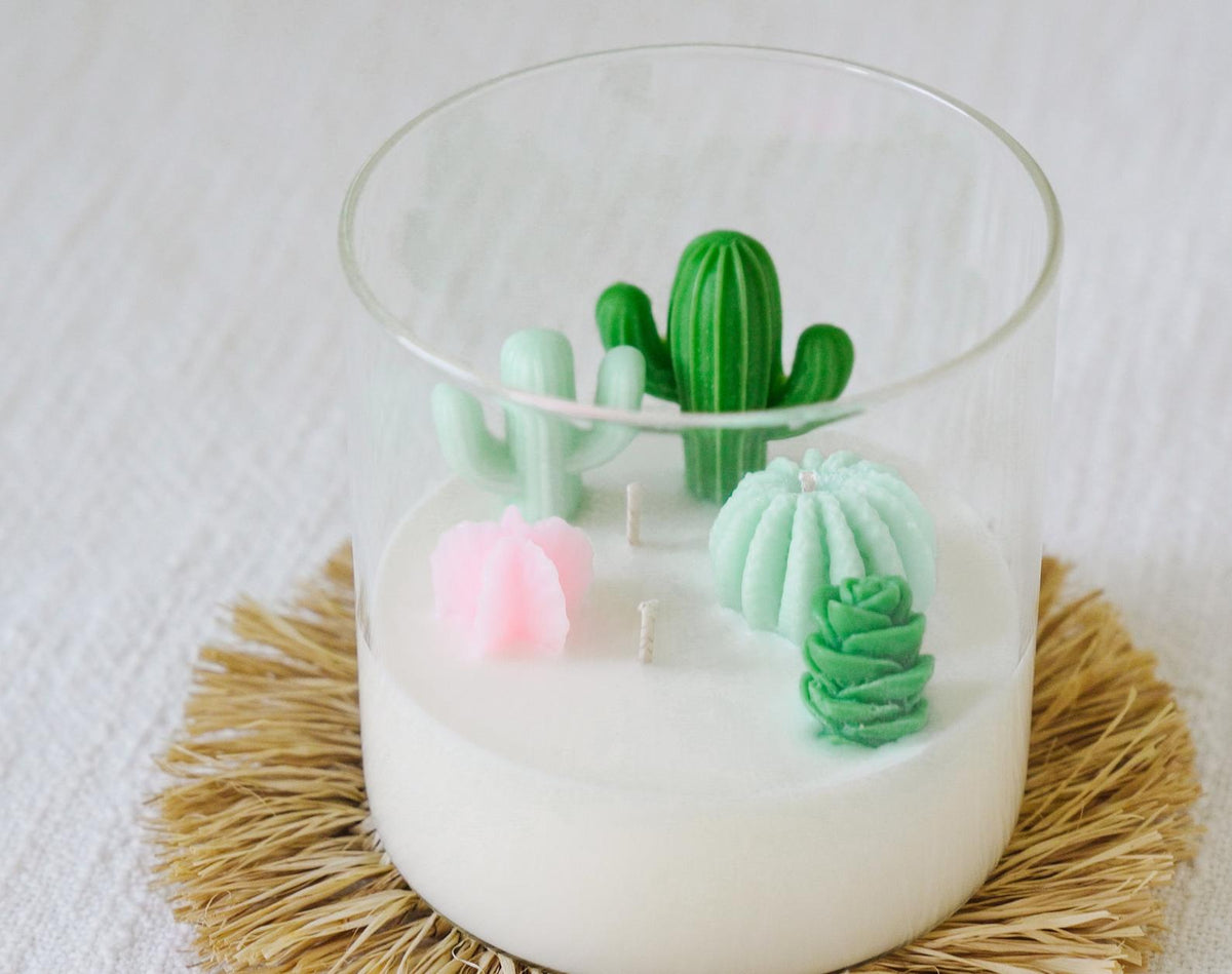 Terrarium Candle, Cactus Candle, Cool Candles