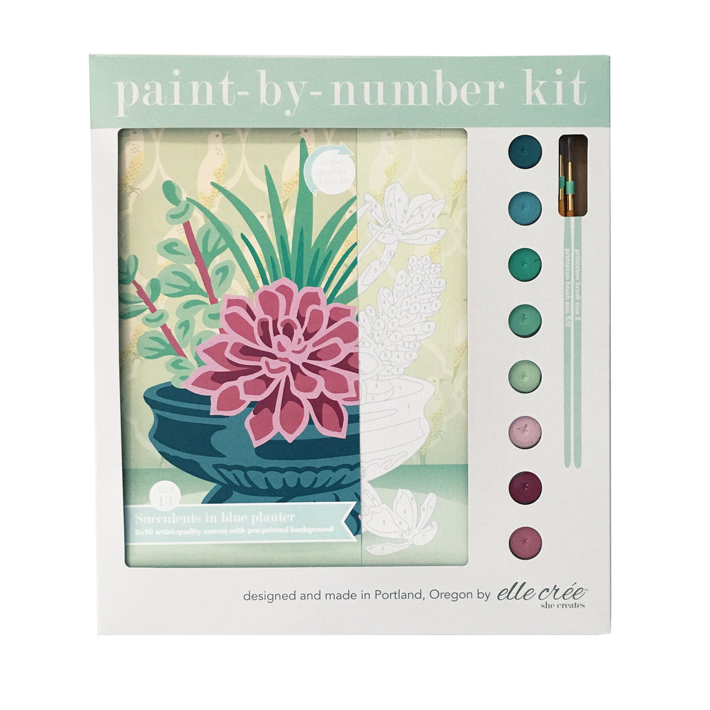 Succulents in Blue Planter Paint by Numbers Kit